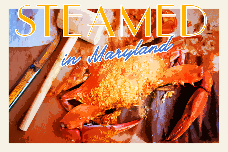 MD crab steamed